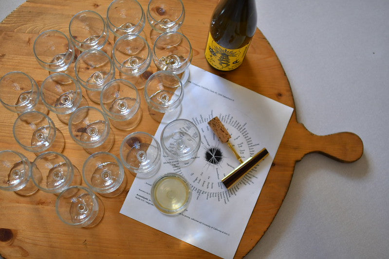 14.11. Vinsmagning: 6 forskellige glas