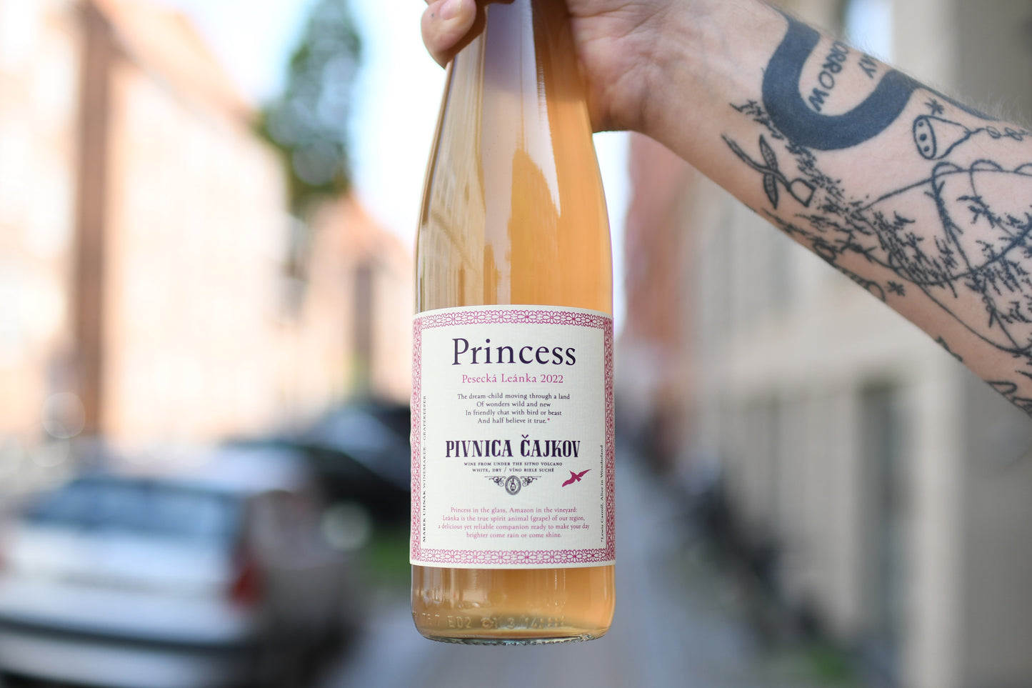 2022 Princess