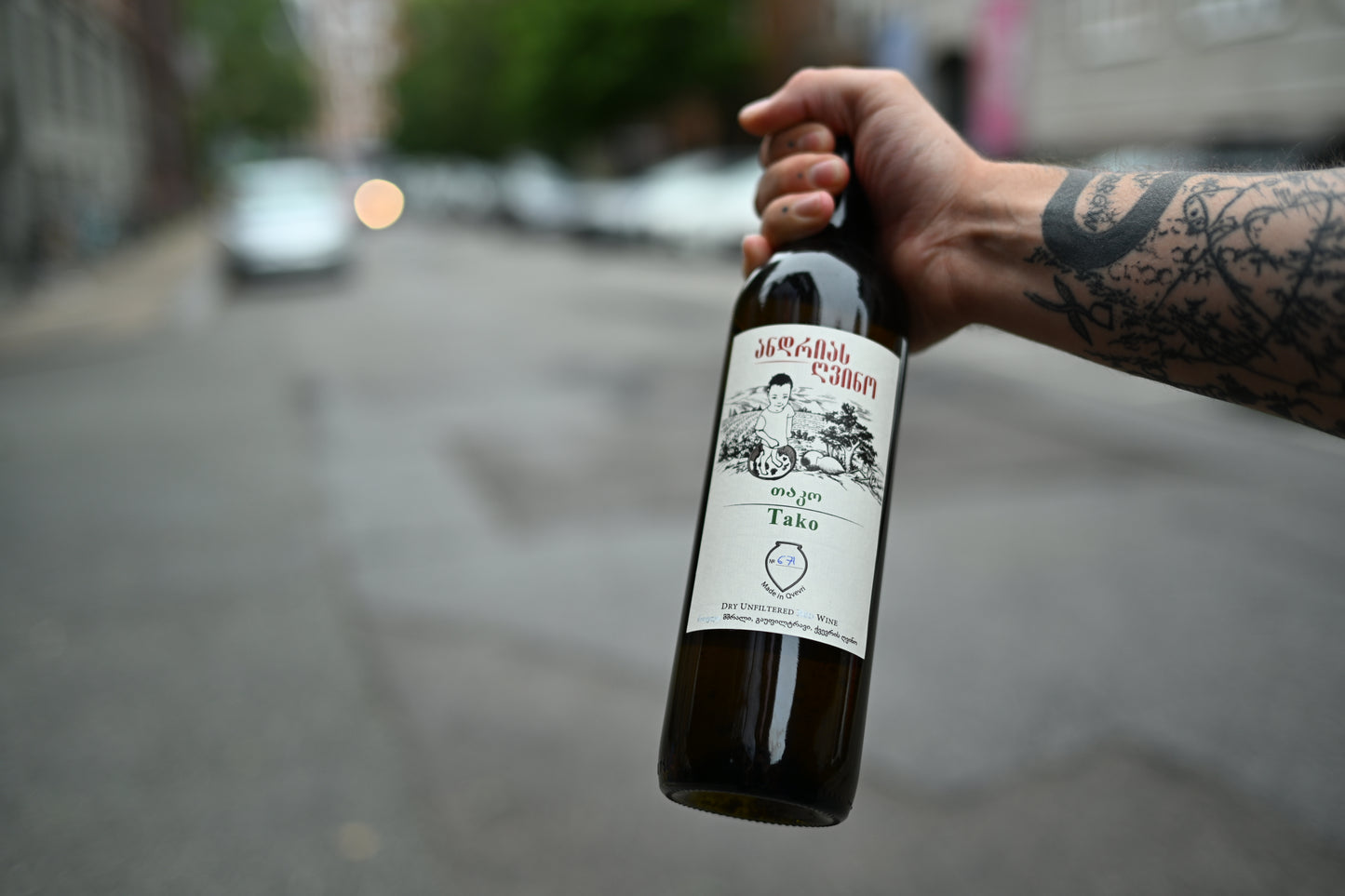 Tako 2023, Andrias Gvino