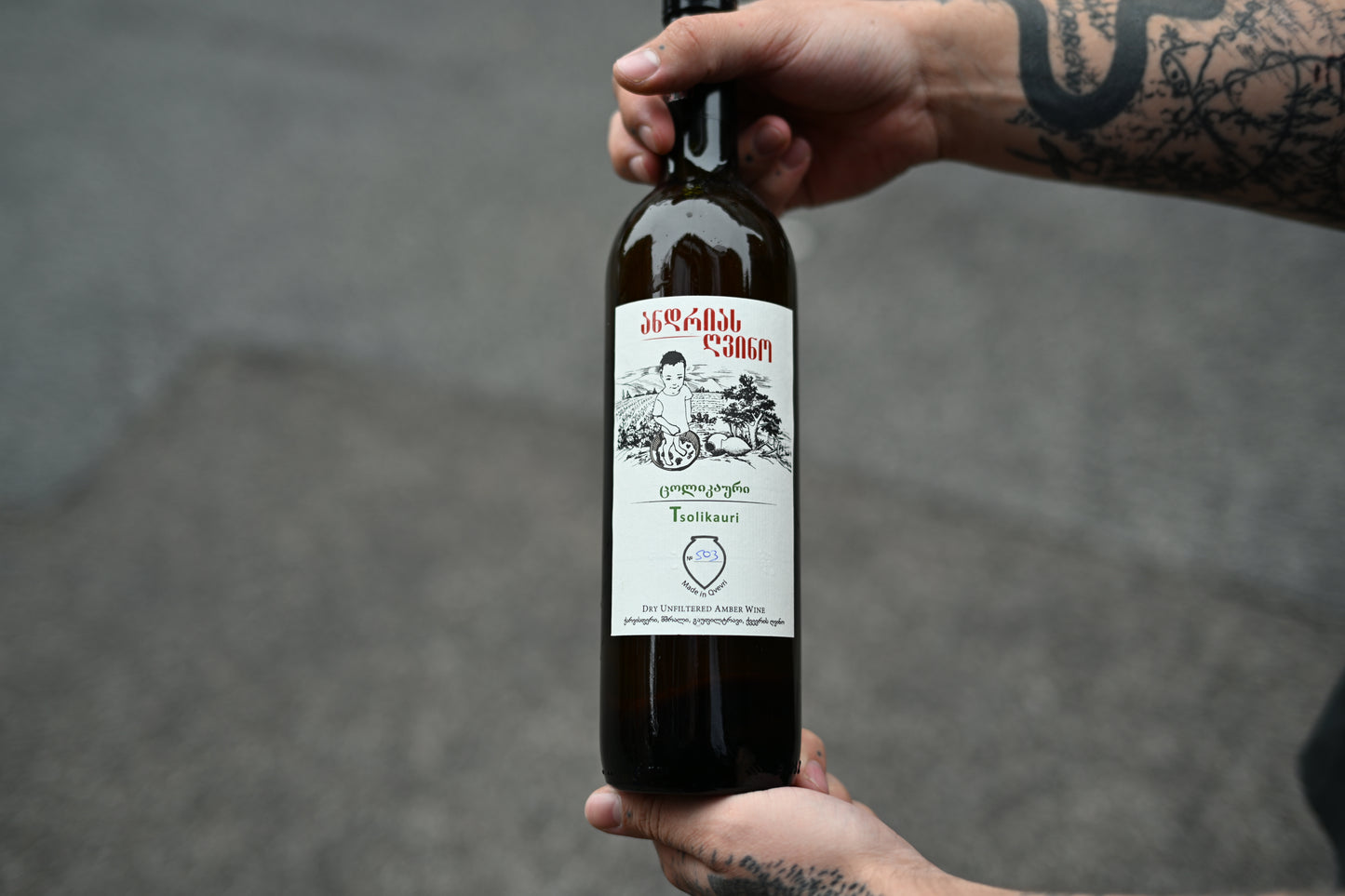 Tsolikauri 2021, Andrias Gvino