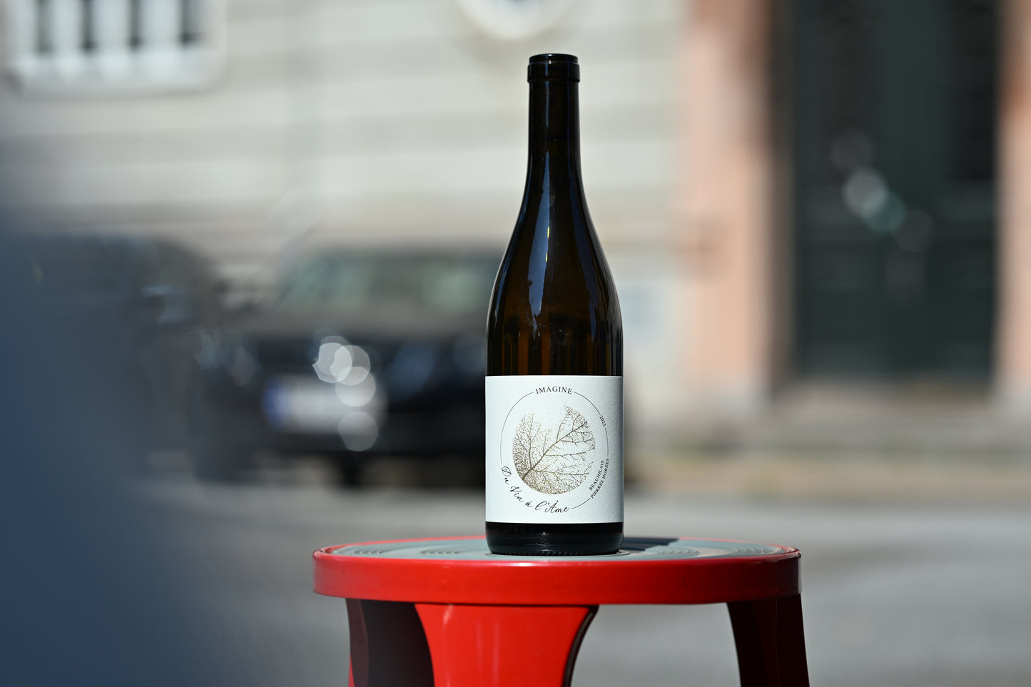 Imagine - Beaujolais Blanc Pierres Dorées 2023