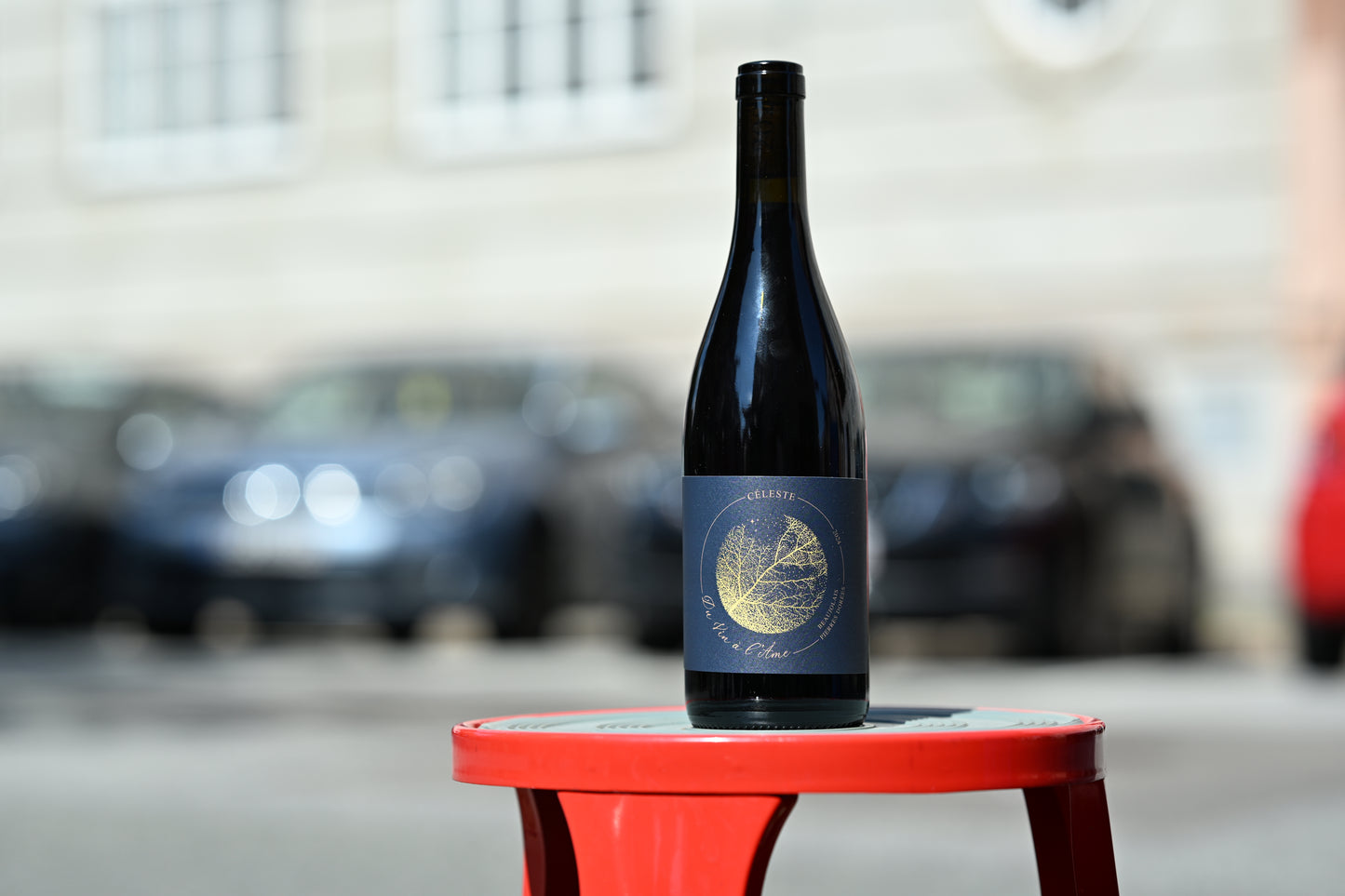 Céleste - Beaujolais Pierres Dorées 2024