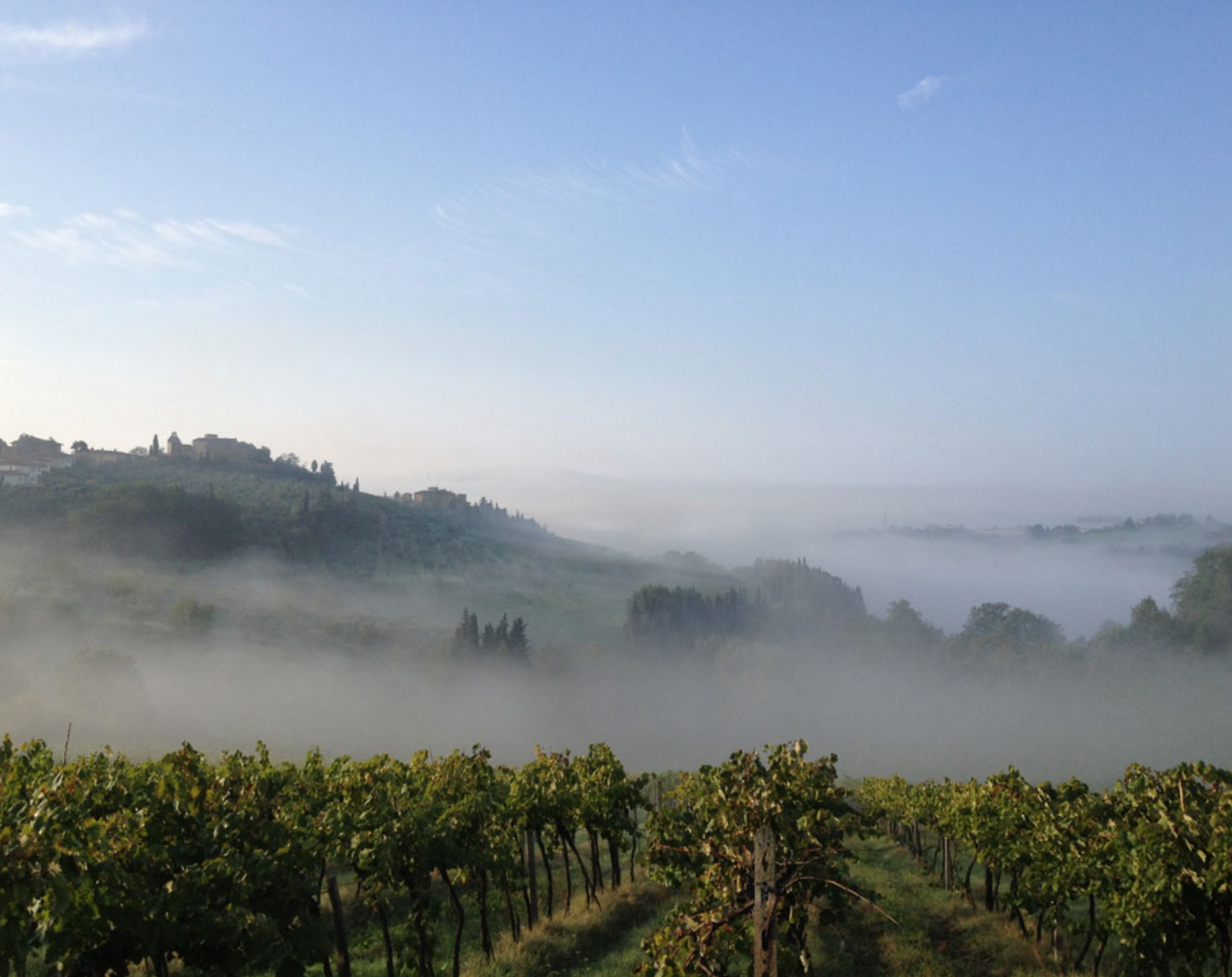 Chianti vinsmagning, torsdag den 5. december kl 17.00