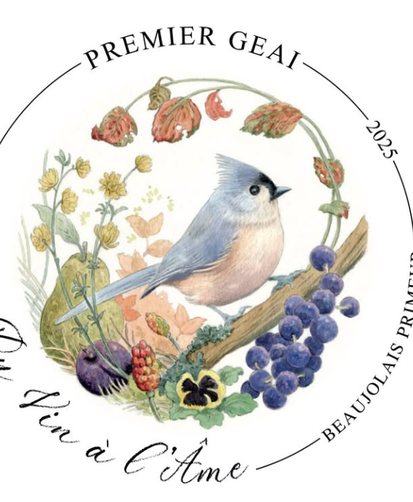 FORSALG: 6 x Premier Geai 2025