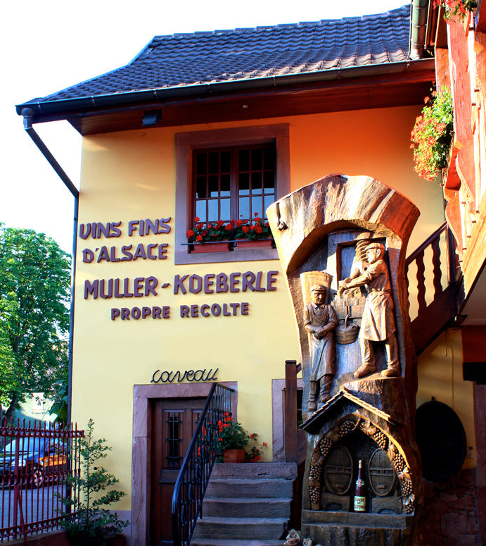 Muller-Koeberle