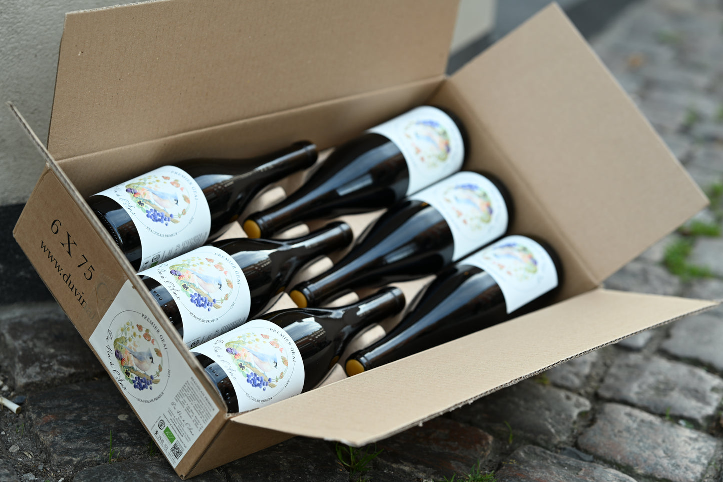 6 x Premier Geai 2025