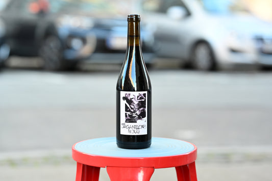 Μαζί (Mazzi) 2024